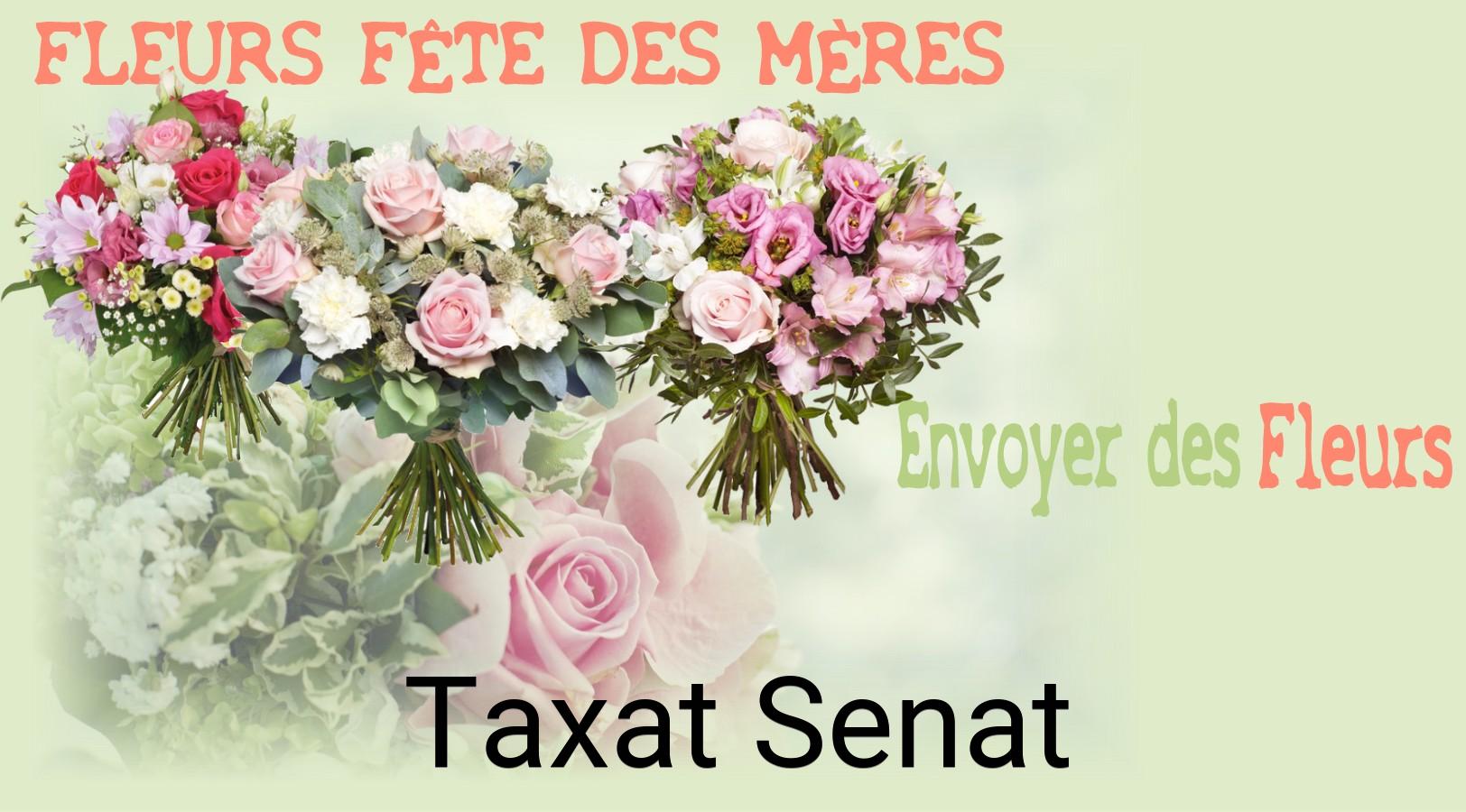 Bouquet de Fête des Mères livré à Taxat-Senat